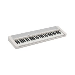 Casio CT-S1, Casiotone Keyboard, WE