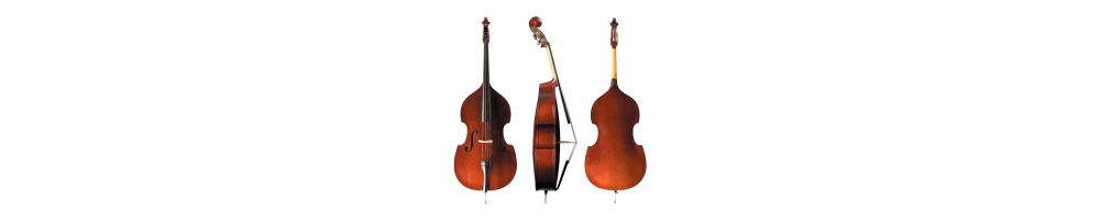 Strings
