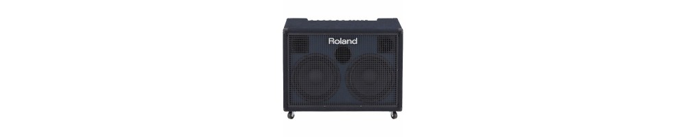 Keyboard Amps