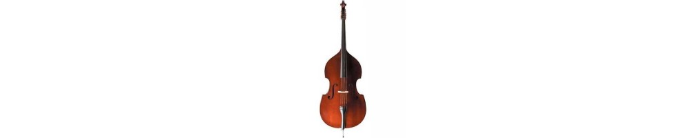 Strings Instruments